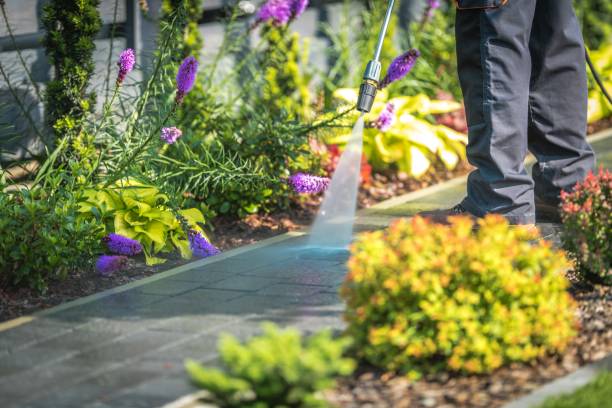Best Animal Enclosure Cleaning  in Ellenton, FL